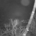 Webcam_20240213-070000