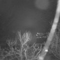 Webcam_20240213-073000