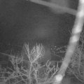 Webcam_20240214-050000