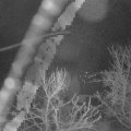 Webcam_20240214-053000