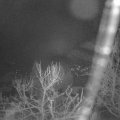 Webcam_20240214-060000