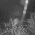Webcam_20240214-061500