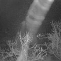 Webcam_20240214-070000