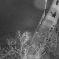 Webcam_20240214-071500