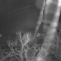 Webcam_20240214-073000
