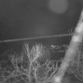 Webcam_20240214-074500