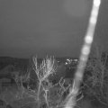 Webcam_20240214-080000