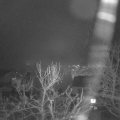 Webcam_20240214-193000