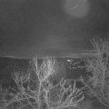 Webcam_20240216-073000