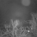 Webcam_20240217-061500