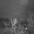 Webcam_20240217-193000