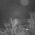 Webcam_20240218-050000