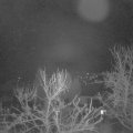 Webcam_20240218-063000