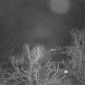 Webcam_20240219-063000