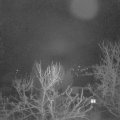 Webcam_20240220-050000