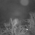 Webcam_20240220-053000
