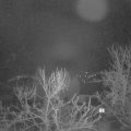 Webcam_20240220-054500