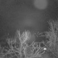 Webcam_20240220-060000