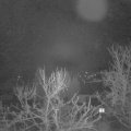 Webcam_20240220-061500