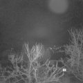 Webcam_20240220-063000