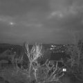 Webcam_20240220-074500