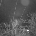 Webcam_20240222-194500