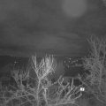 Webcam_20240225-050000