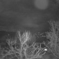 Webcam_20240225-060000