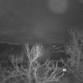 Webcam_20240225-073000