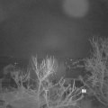 Webcam_20240228-050000