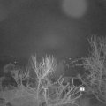 Webcam_20240228-051500