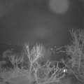 Webcam_20240228-054500