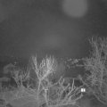 Webcam_20240228-061500