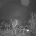 Webcam_20240228-064500