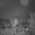 Webcam_20240228-070000