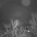 Webcam_20240301-050000
