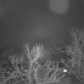 Webcam_20240301-051500
