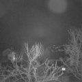 Webcam_20240301-053000