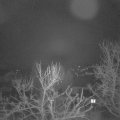 Webcam_20240301-060000