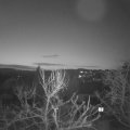 Webcam_20240301-071500