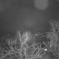 Webcam_20240302-053000