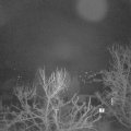 Webcam_20240302-060000