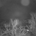 Webcam_20240302-061500