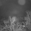 Webcam_20240302-063000