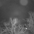 Webcam_20240303-050000