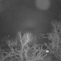 Webcam_20240303-053000
