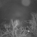 Webcam_20240303-063000