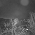 Webcam_20240303-064500