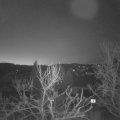 Webcam_20240303-070000