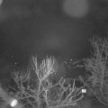 Webcam_20240304-050000